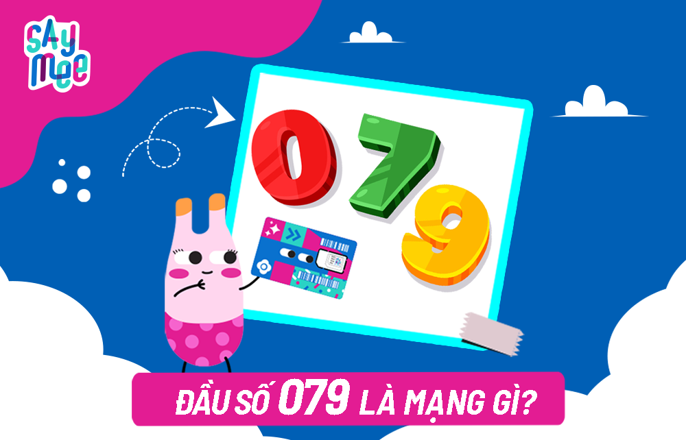 Đầu số 079 là mạng gì