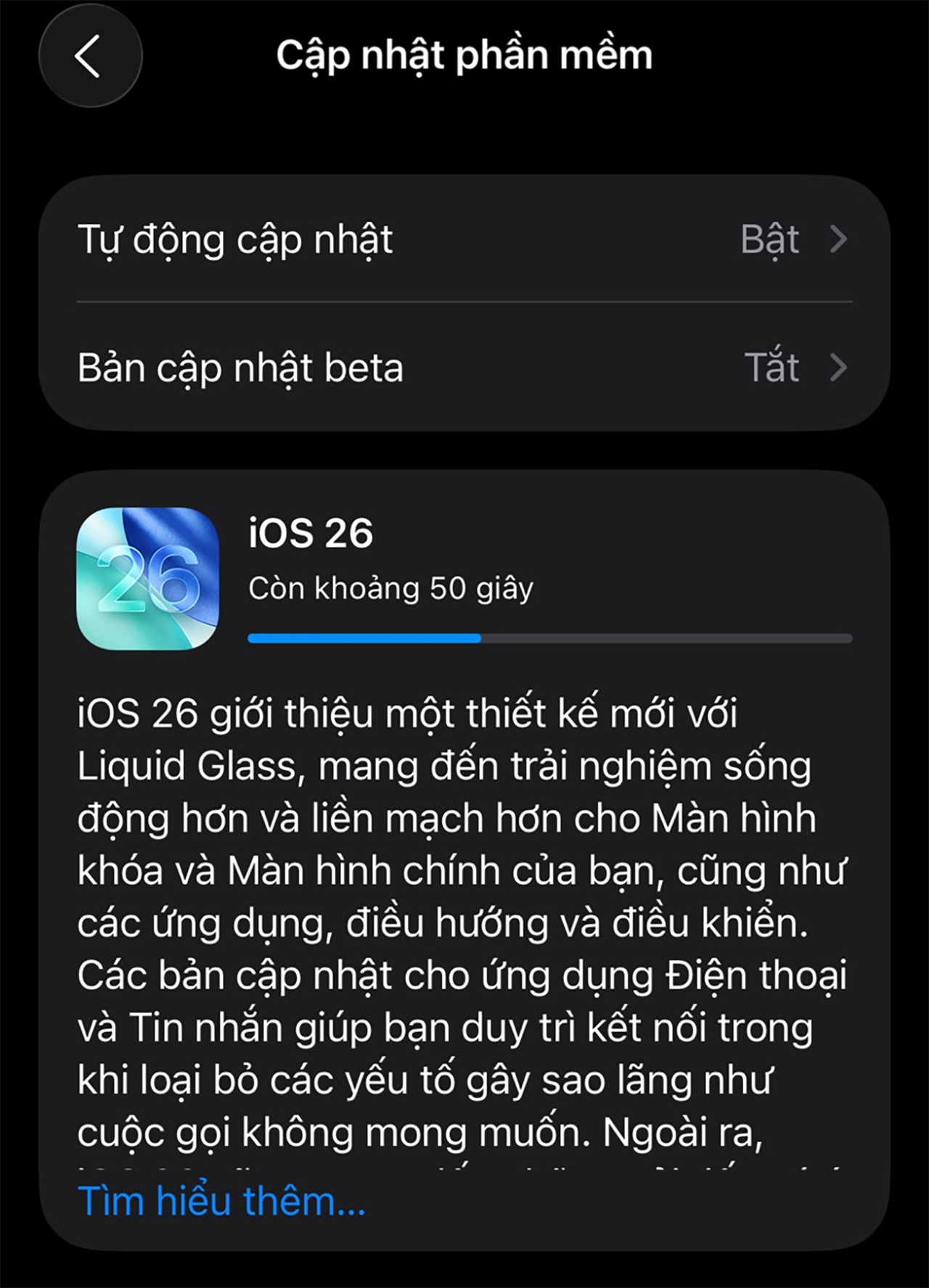 Cách cập nhật iOS 26 chính thức bước 4