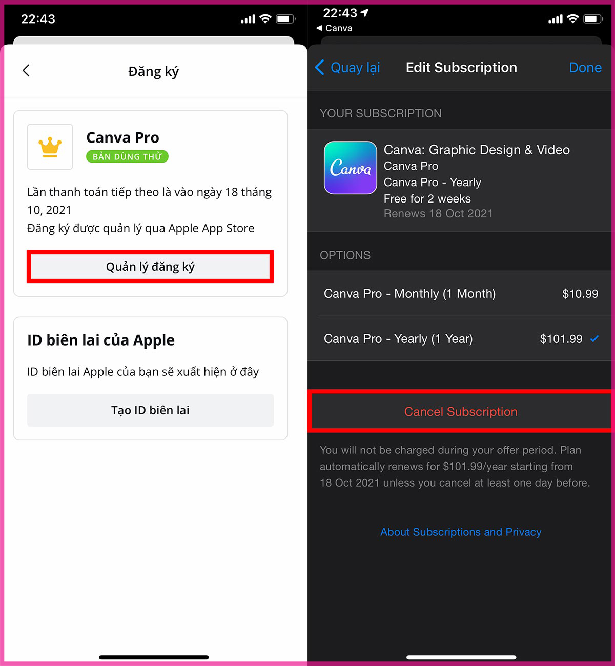 Cách hủy Canva Pro trên điện thoại iPhone bước 2