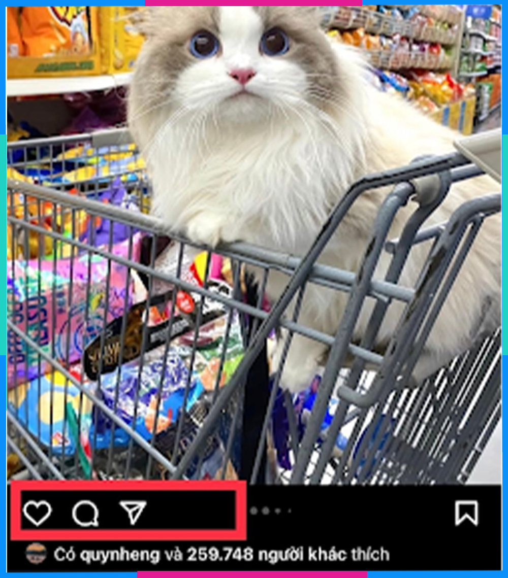 Cách sử dụng Instagram quản lý Feed