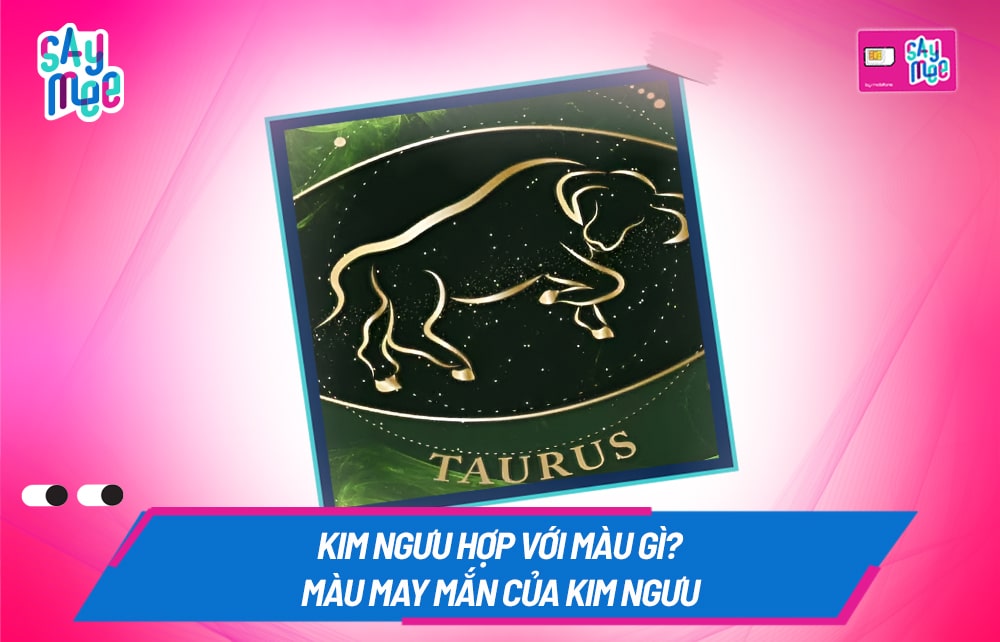 Kim Ngưu hợp màu gì