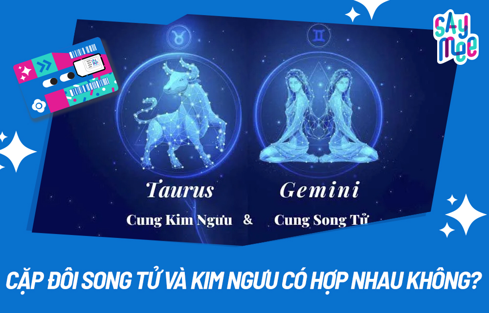 Kim Ngưu và Song Tử