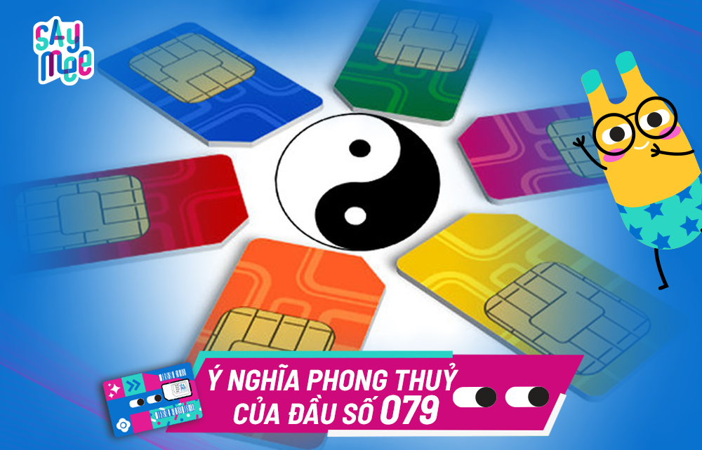 Ý nghĩa đầu số 079